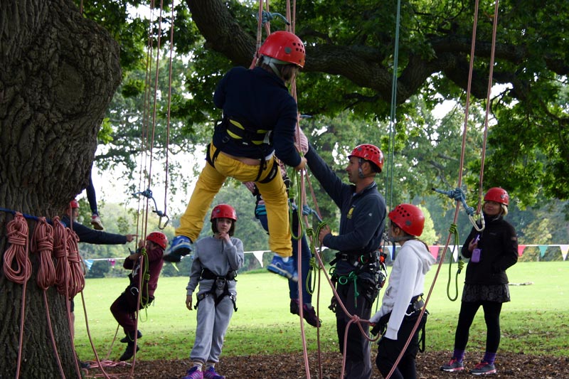 Photo of primary school students beginning a tree climb under expert instruction