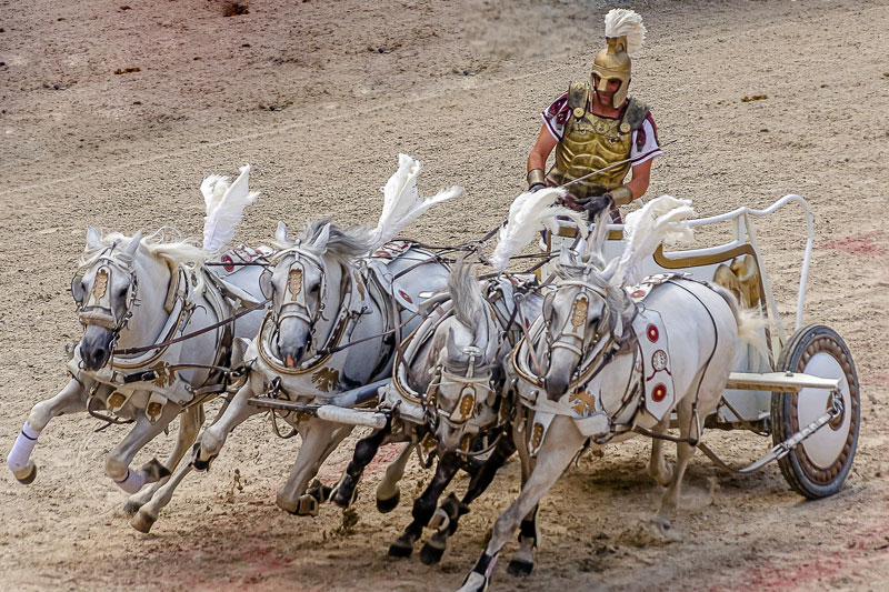 Picture of Roman soldier racing a chariot